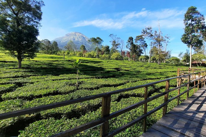 Paket Dieng - Gambar 5